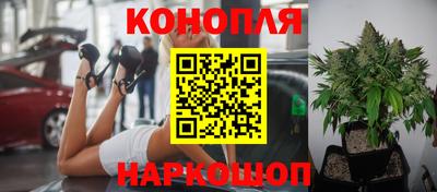 сатива Донецк