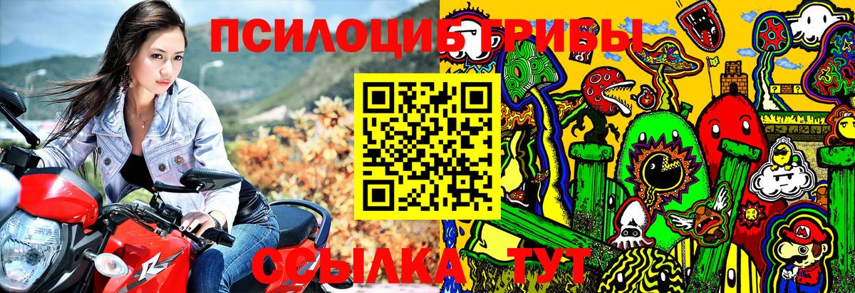 Чусовой  наркота  Псилоцибиновые грибы Cubensis  Вход с VPN  Галлюциногенные грибы Psilocybe 