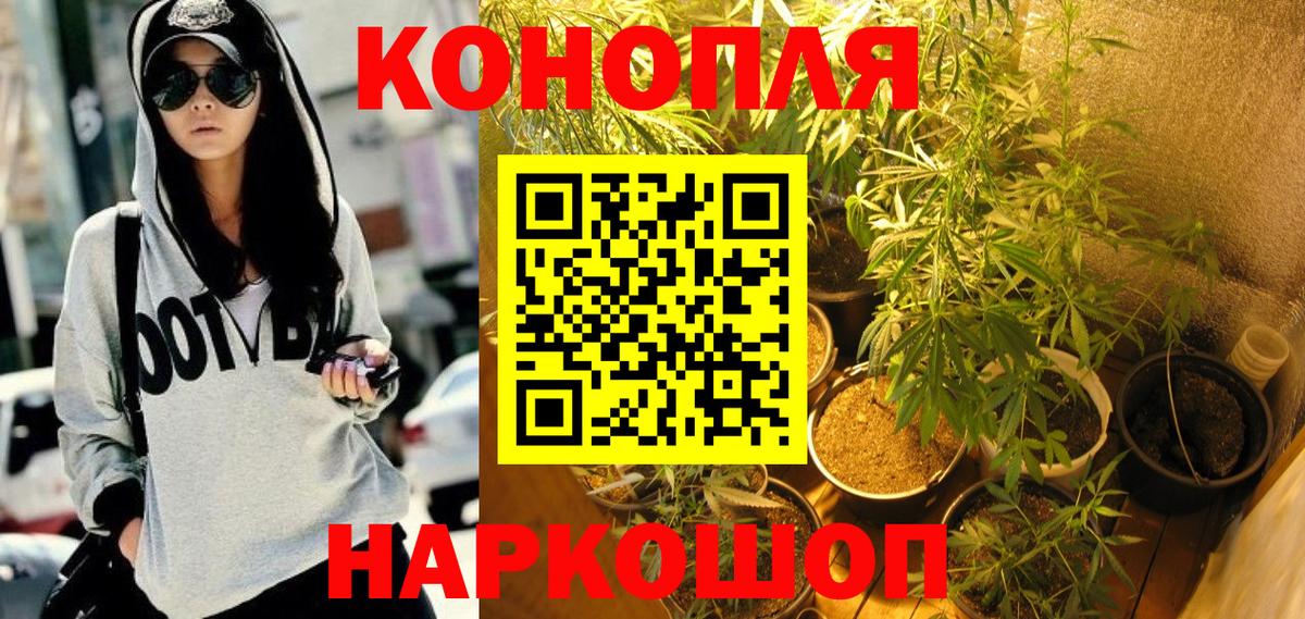 Бошки Шишки Amnesia Чусовой